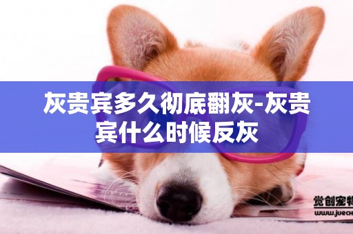 灰貴賓多久徹底翻灰-灰貴賓什么時候反灰