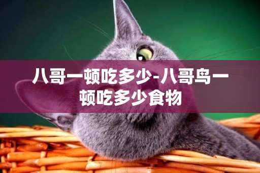八哥一頓吃多少-八哥鳥一頓吃多少食物