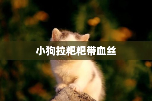 小狗拉粑粑帶血絲