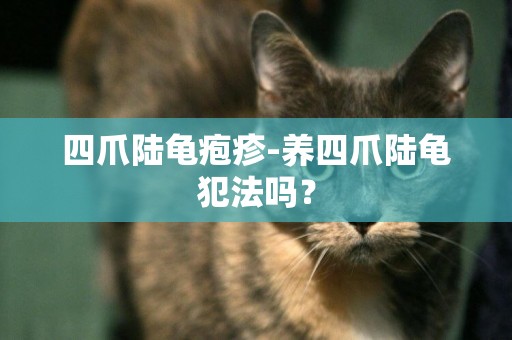 四爪陸龜皰疹-養四爪陸龜犯法嗎？