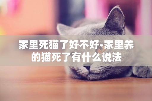 家里死貓了好不好-家里養的貓死了有什么說法