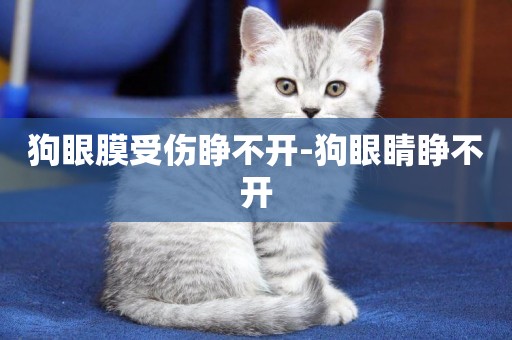 狗眼膜受傷睜不開-狗眼睛睜不開