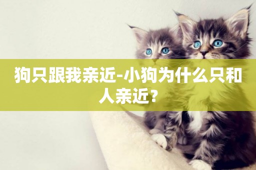 狗只跟我親近-小狗為什么只和人親近？