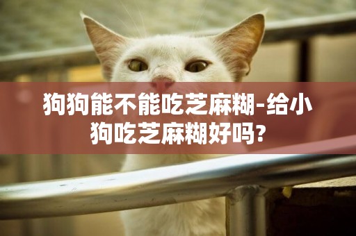 狗狗能不能吃芝麻糊-給小狗吃芝麻糊好嗎?