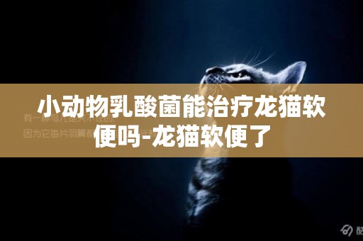 小動物乳酸菌能治療龍貓軟便嗎-龍貓軟便了