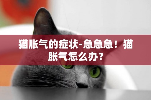貓脹氣的癥狀-急急急！貓脹氣怎么辦？