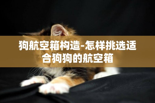 狗航空箱構造-怎樣挑選適合狗狗的航空箱