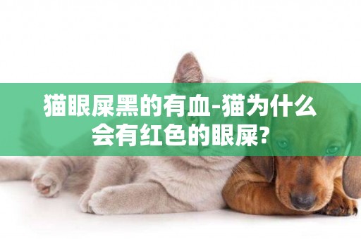 貓眼屎黑的有血-貓為什么會有紅色的眼屎?