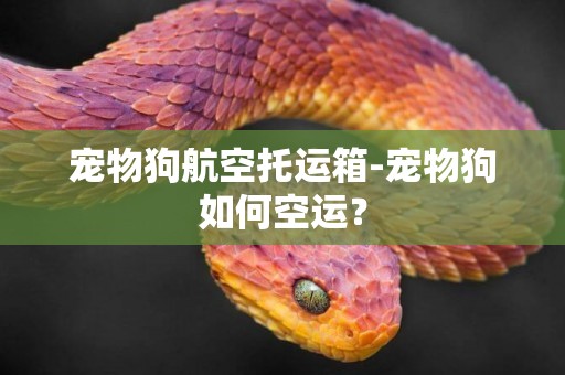寵物狗航空托運箱-寵物狗如何空運？