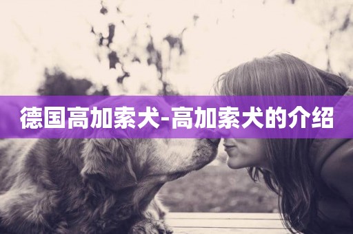 德國高加索犬-高加索犬的介紹