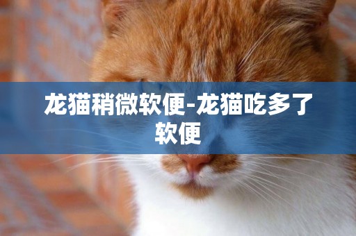 龍貓稍微軟便-龍貓吃多了軟便