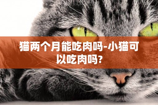 貓兩個月能吃肉嗎-小貓可以吃肉嗎?