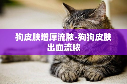 狗皮膚增厚流膿-狗狗皮膚出血流膿