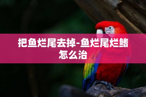 把魚爛尾去掉-魚爛尾爛鰭怎么治