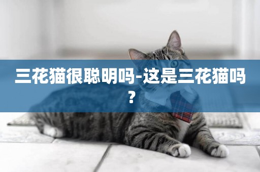 三花貓很聰明嗎-這是三花貓嗎？