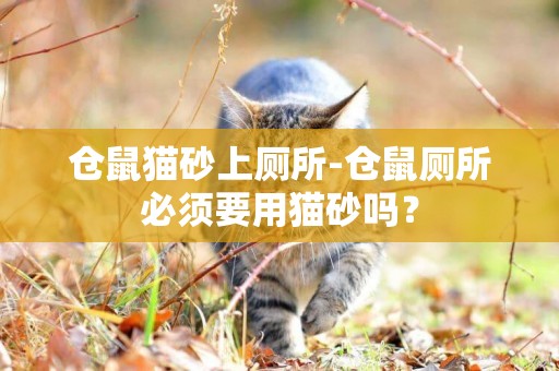 倉鼠貓砂上廁所-倉鼠廁所必須要用貓砂嗎？