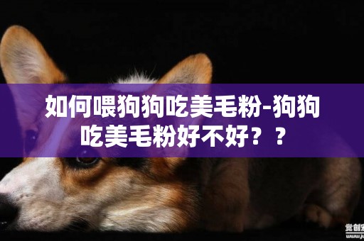 如何喂狗狗吃美毛粉-狗狗吃美毛粉好不好？？