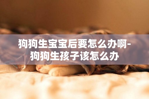 狗狗生寶寶后要怎么辦啊-狗狗生孩子該怎么辦