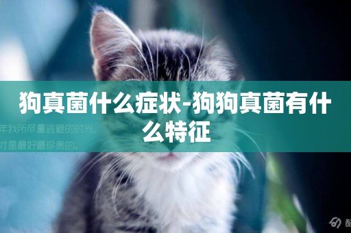 狗真菌什么癥狀-狗狗真菌有什么特征