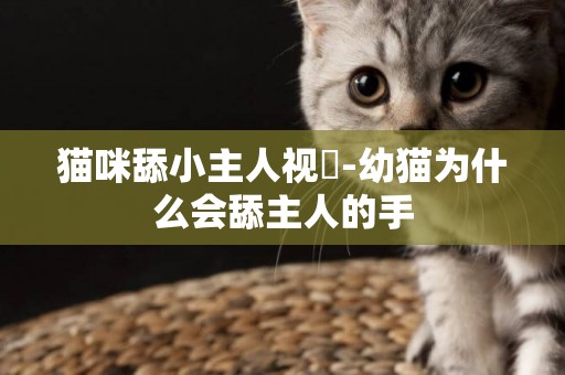 貓咪舔小主人視頻-幼貓為什么會舔主人的手