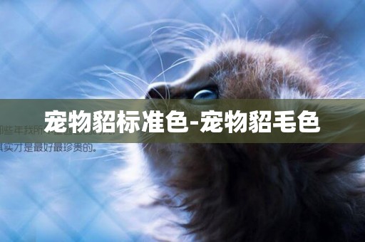 寵物貂標準色-寵物貂毛色