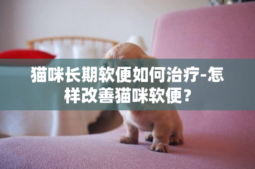 貓咪長期軟便如何治療-怎樣改善貓咪軟便？