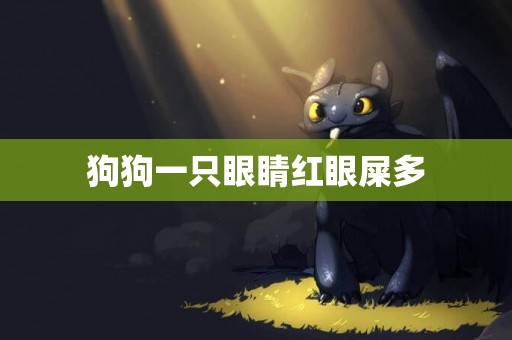 狗狗一只眼睛紅眼屎多