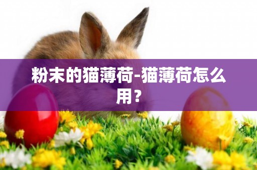 粉末的貓薄荷-貓薄荷怎么用？