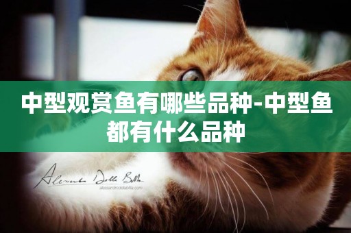 中型觀賞魚有哪些品種-中型魚都有什么品種