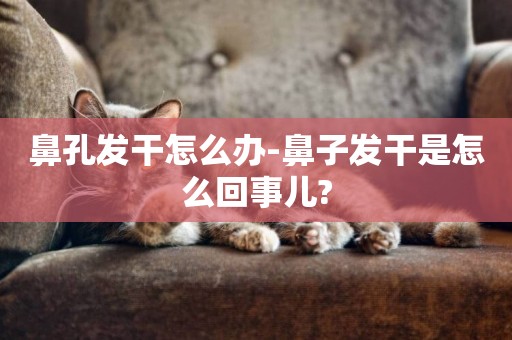 鼻孔發干怎么辦-鼻子發干是怎么回事兒?
