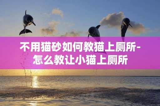 不用貓砂如何教貓上廁所-怎么教讓小貓上廁所