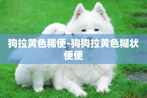 狗拉黃色稀便-狗狗拉黃色糊狀便便