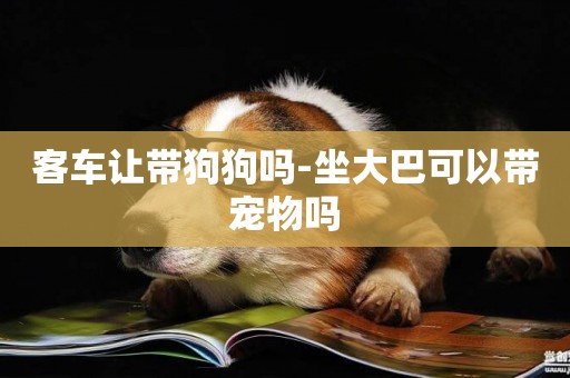 客車讓帶狗狗嗎-坐大巴可以帶寵物嗎