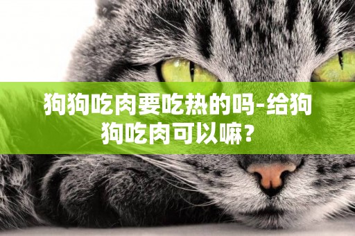 狗狗吃肉要吃熱的嗎-給狗狗吃肉可以嘛？