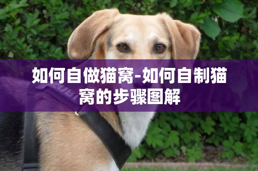 如何自做貓窩-如何自制貓窩的步驟圖解