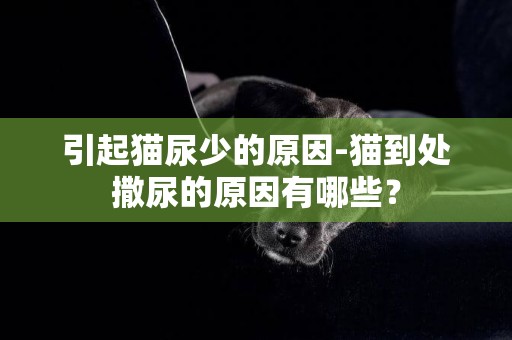 引起貓尿少的原因-貓到處撒尿的原因有哪些？