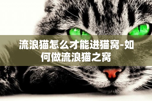 流浪貓怎么才能進貓窩-如何做流浪貓之窩