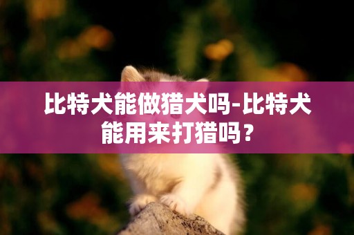 比特犬能做獵犬嗎-比特犬能用來打獵嗎？