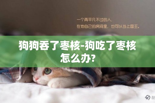 狗狗吞了棗核-狗吃了棗核怎么辦?