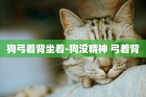 狗弓著背坐著-狗沒精神 弓著背