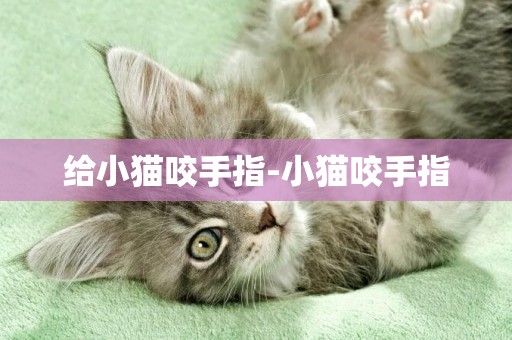 給小貓咬手指-小貓咬手指