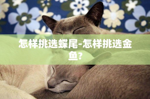 怎樣挑選蝶尾-怎樣挑選金魚?