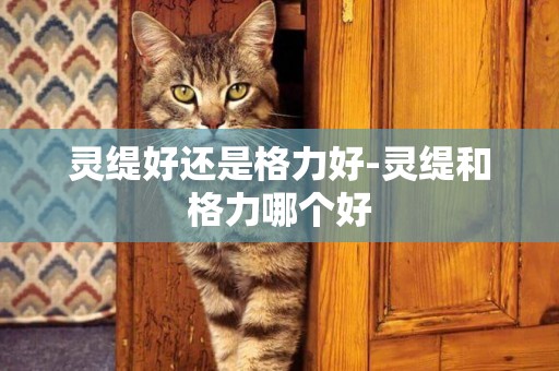 靈緹好還是格力好-靈緹和格力哪個好