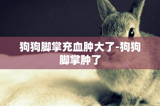 狗狗腳掌充血腫大了-狗狗腳掌腫了