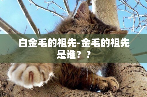 白金毛的祖先-金毛的祖先是誰？？