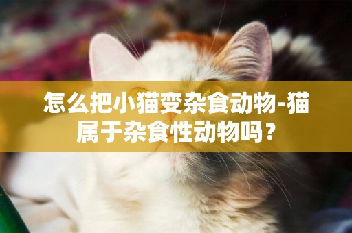 怎么把小貓變雜食動物-貓屬于雜食性動物嗎？
