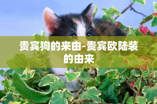 貴賓狗的來由-貴賓歐陸裝的由來