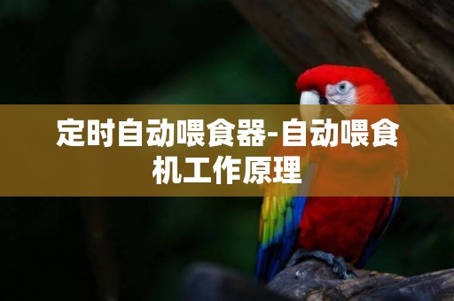 定時自動喂食器-自動喂食機工作原理
