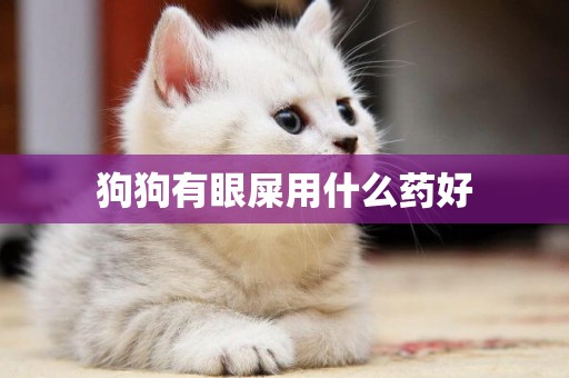 狗狗有眼屎用什么藥好