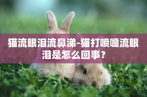 貓流眼淚流鼻涕-貓打噴嚏流眼淚是怎么回事？